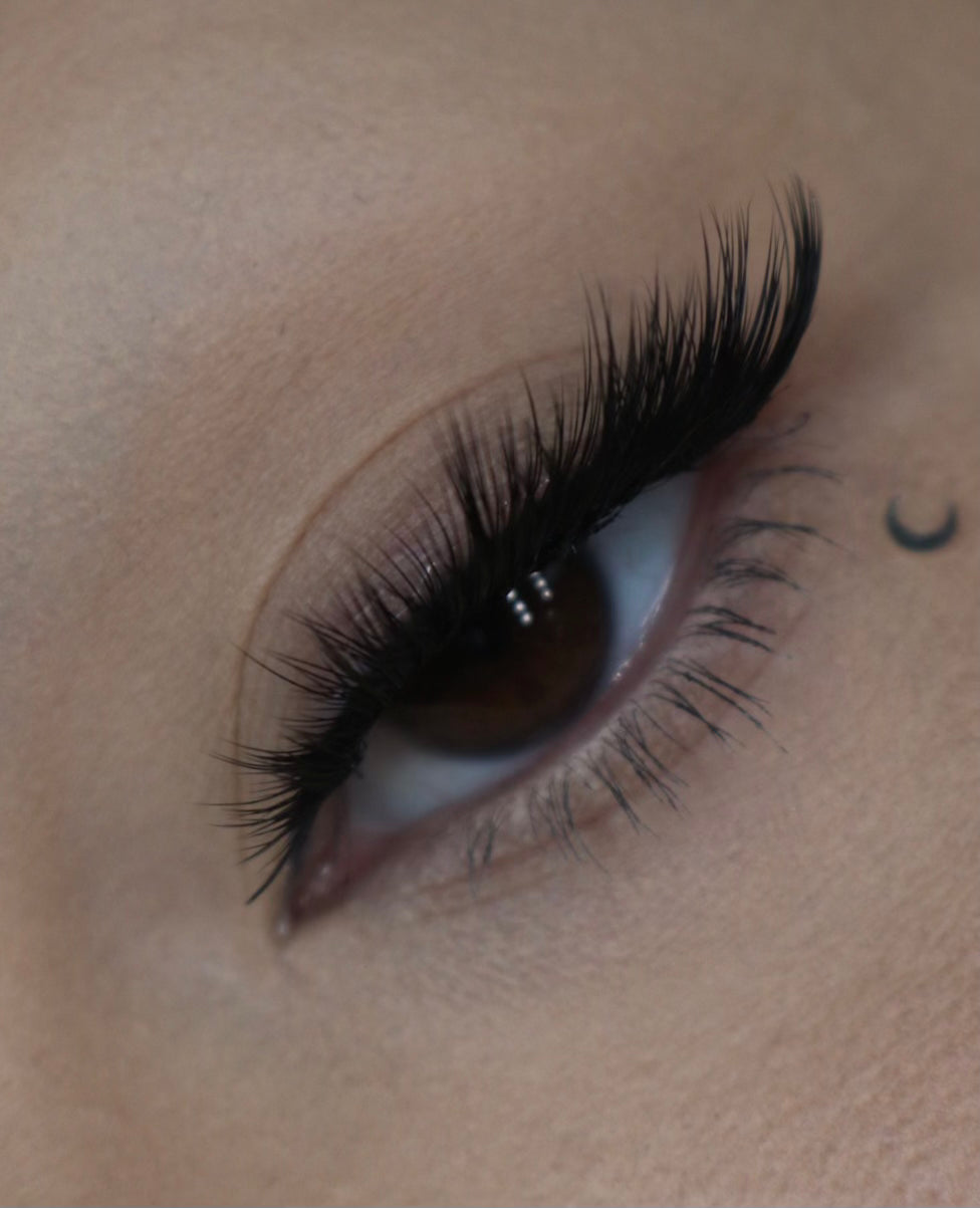 LYNX – Black Moon Cosmetics